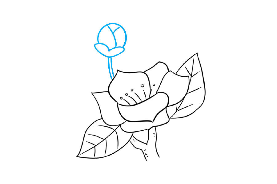 如何画树枝上漂亮的花朵