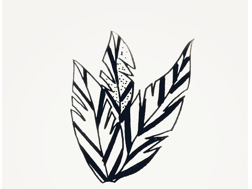 一组小植物简笔画图片