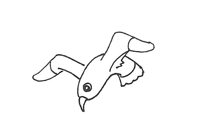 海鸥简笔画画法步骤