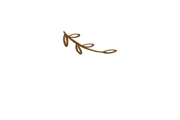 简单灯笼花简笔画