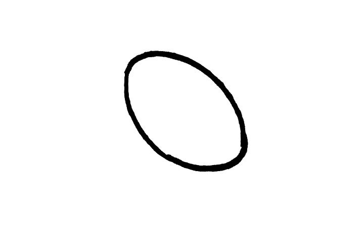 猕猴桃简笔画画法步骤