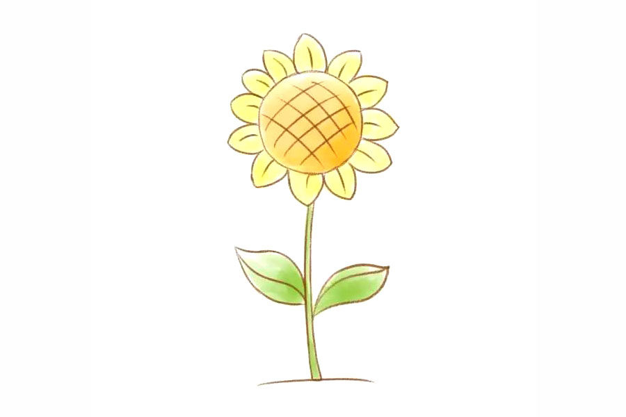 美丽的向日葵花简笔画