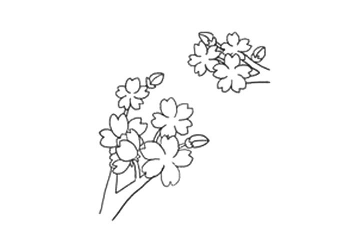 樱花的详细画法图解