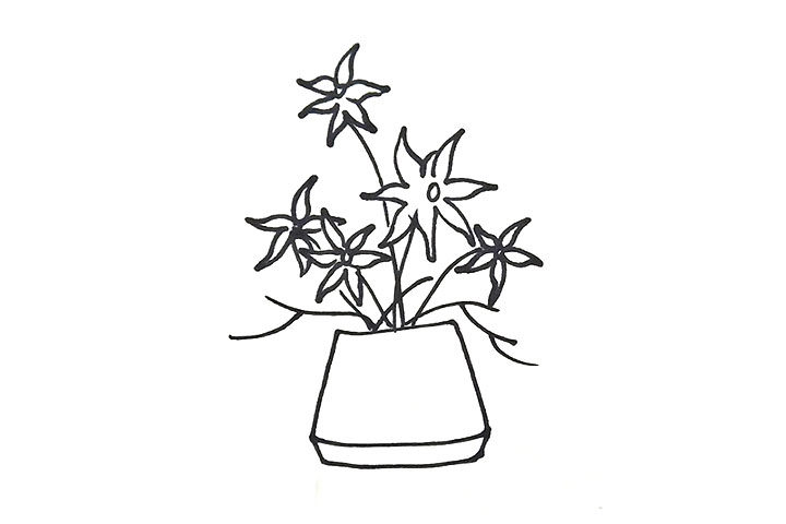 风雨兰盆栽简笔画
