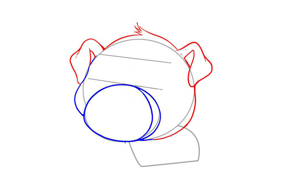 可爱小猪简笔画画法步骤