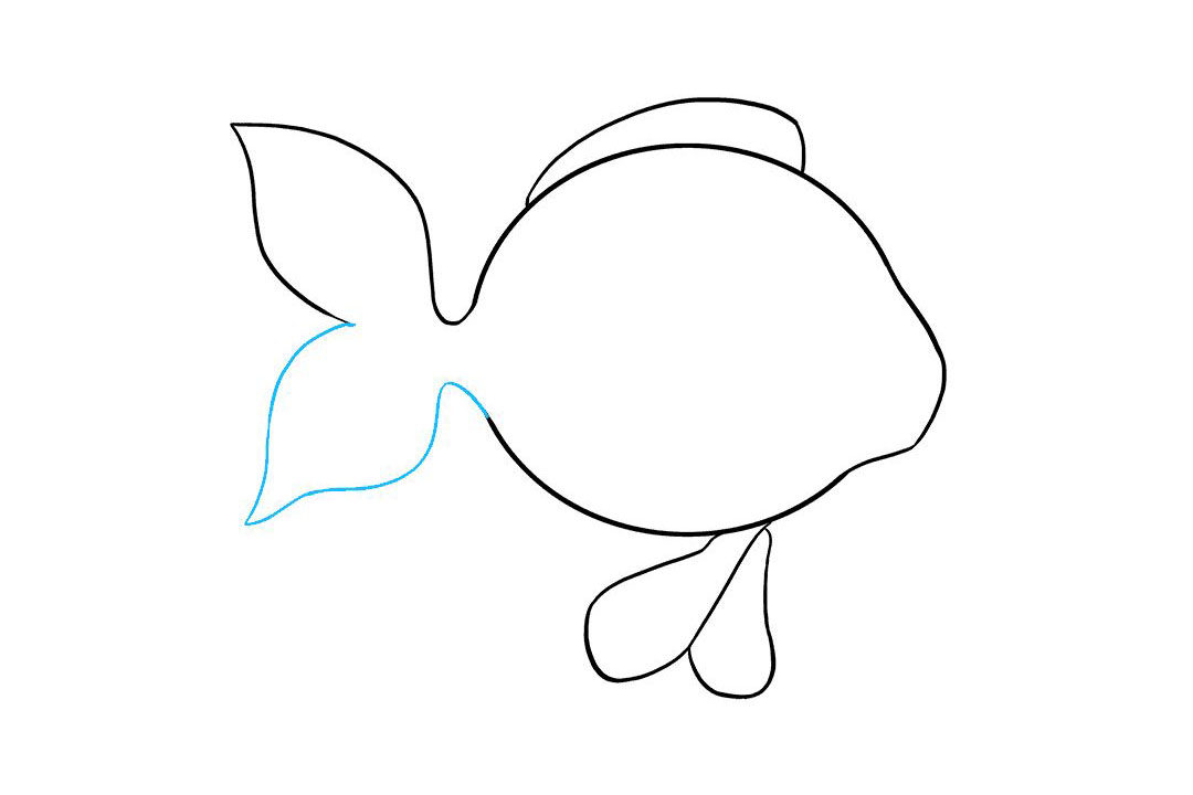 金鱼怎么画