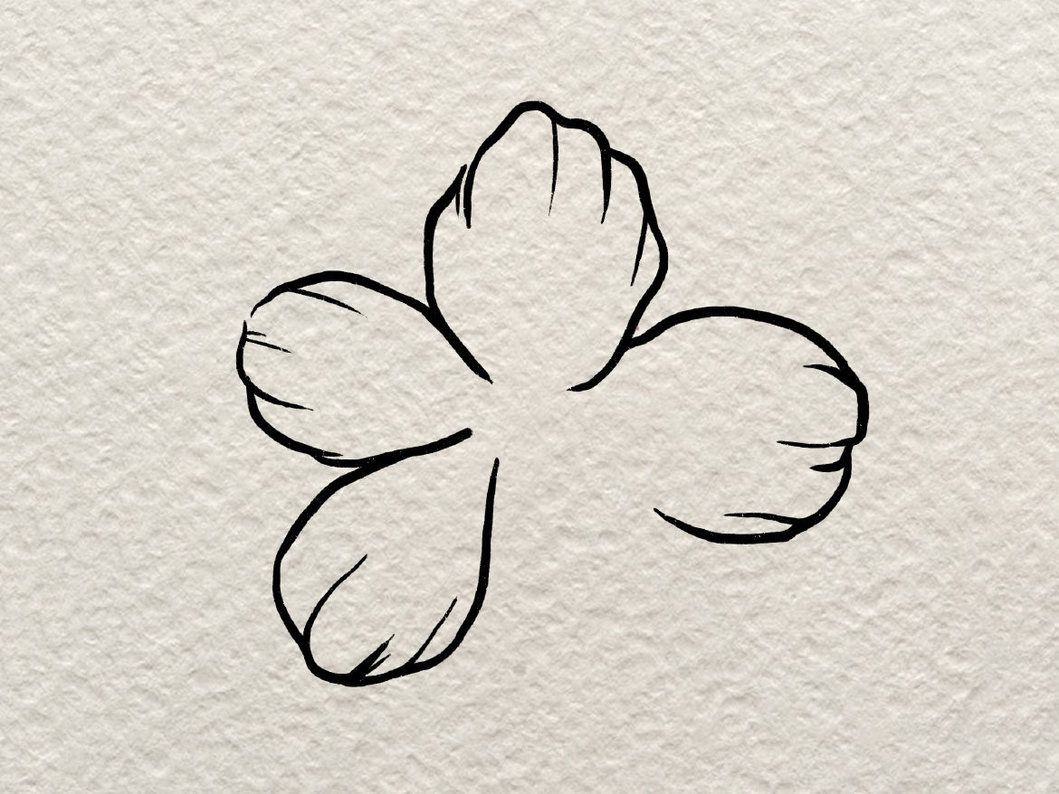 一朵小花花简笔画画法