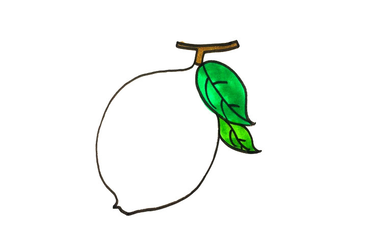 柠檬怎么画