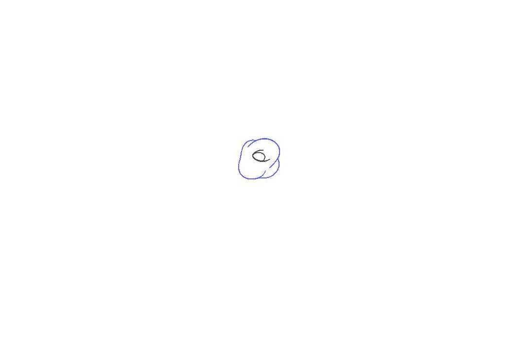 如何画玫瑰花简笔画