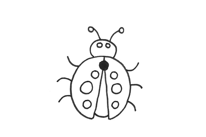 七星瓢虫简笔画