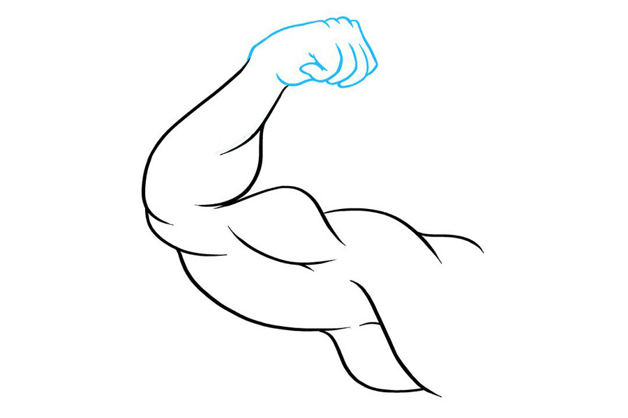 如何画二头肌