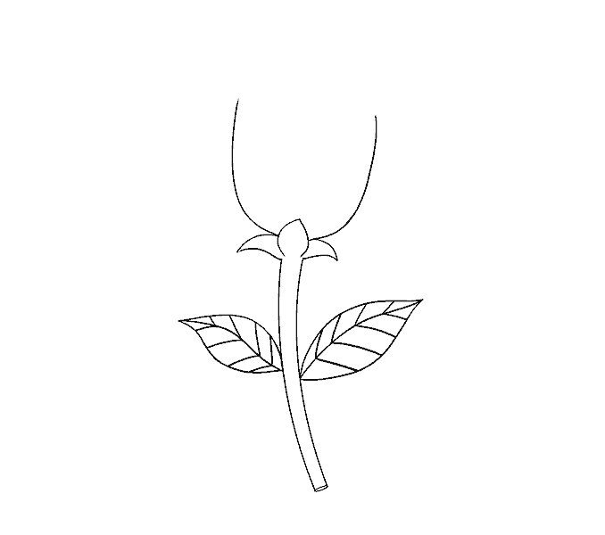 如何画一朵简单的玫瑰花