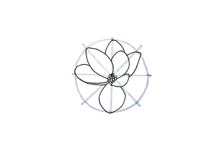 详细花朵绘画步骤 木兰花花朵简笔画画法
