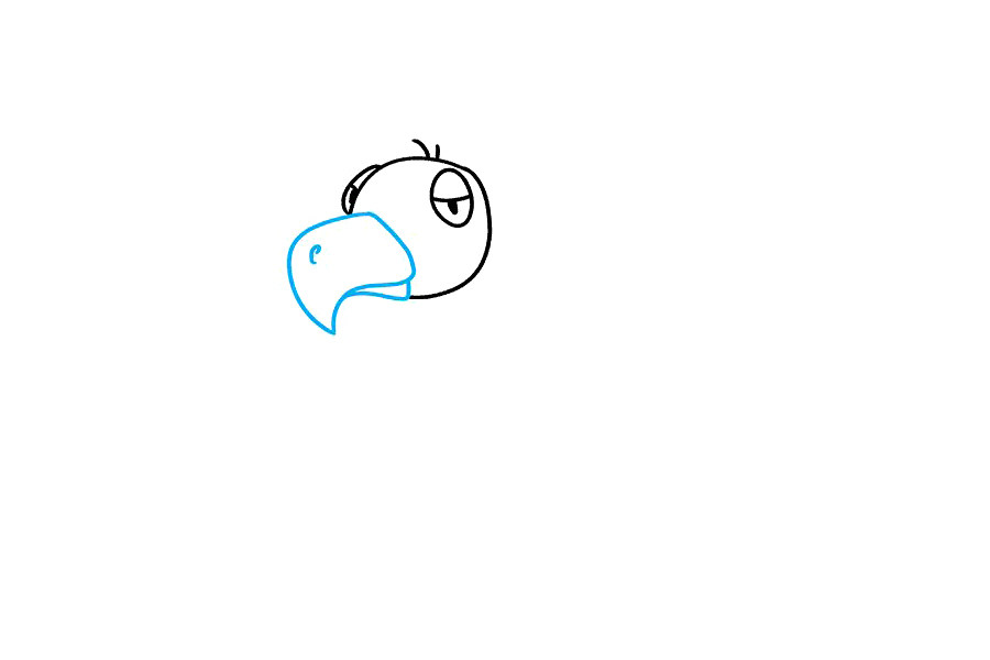 如何画秃鹫