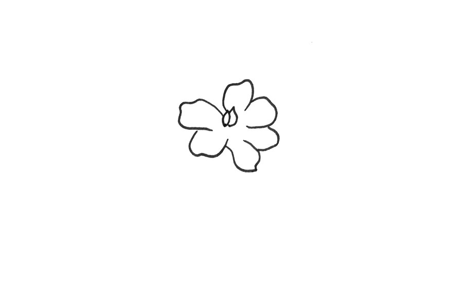栀子花怎么画