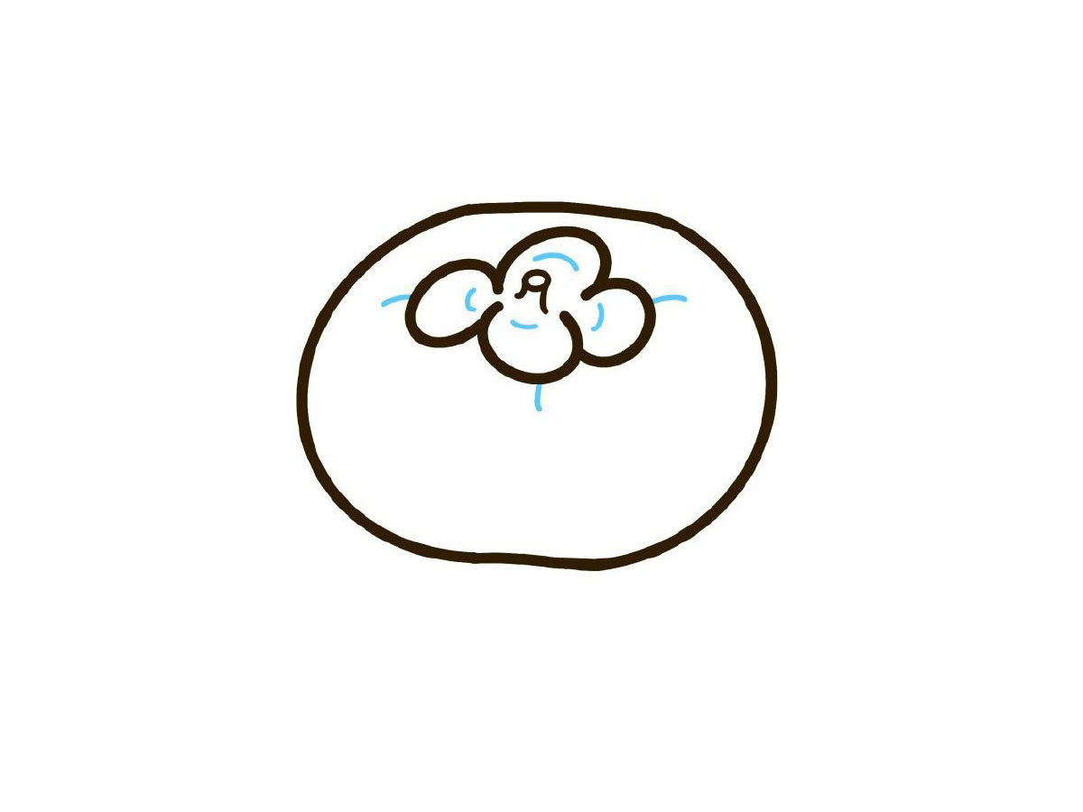 柿子简笔画画法教程
