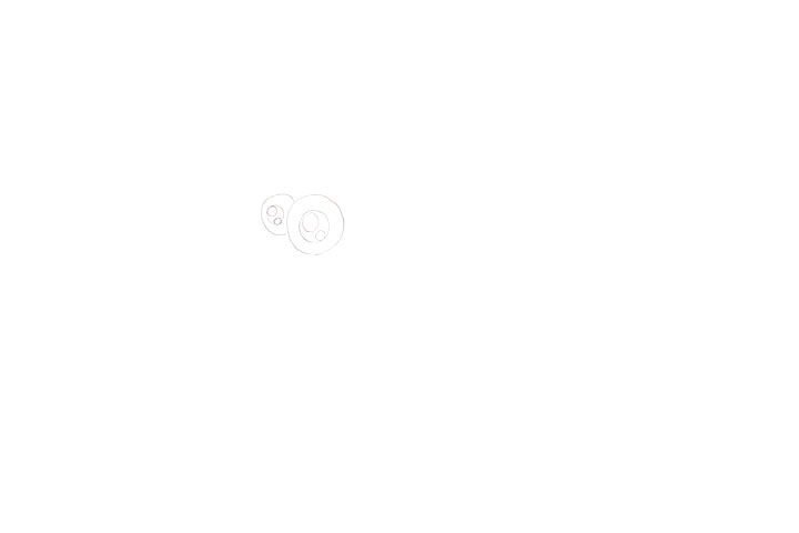 画海底总动员中的小丑鱼尼莫