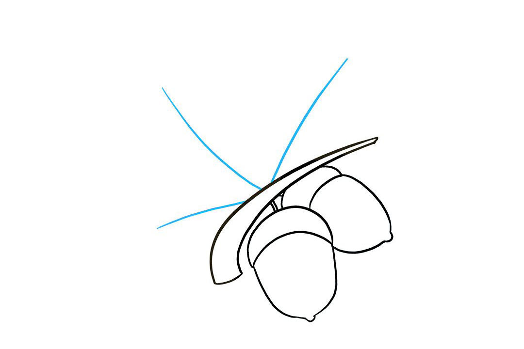 如何画橡子简笔画