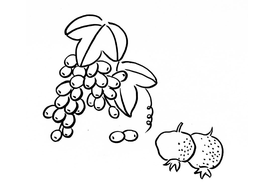 简单蔬菜简笔画图片大全