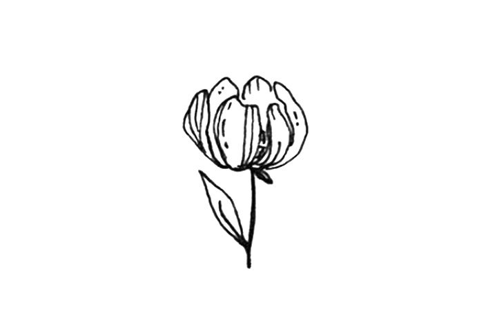 23种漂亮小花简笔画图片