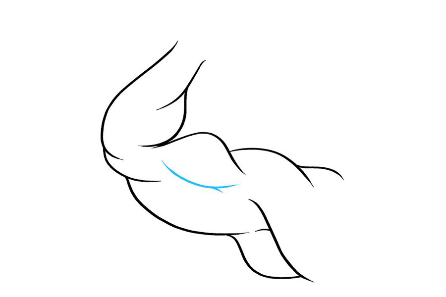 如何画二头肌