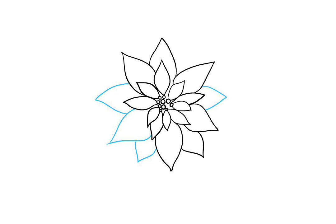 一品红简笔画怎么画