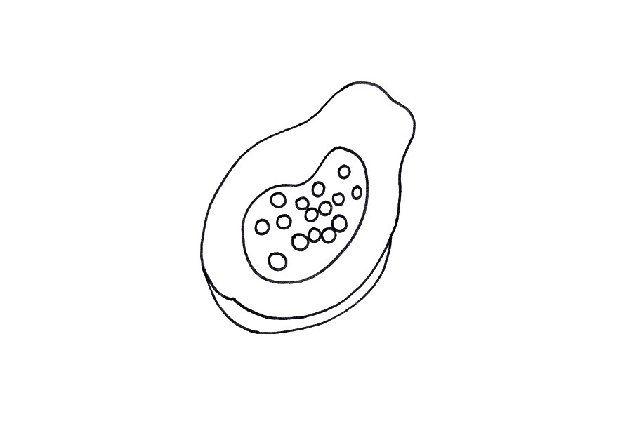 一步一步学画木瓜简笔画