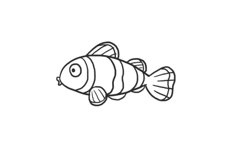 海里的鱼 小丑鱼简笔画怎么画