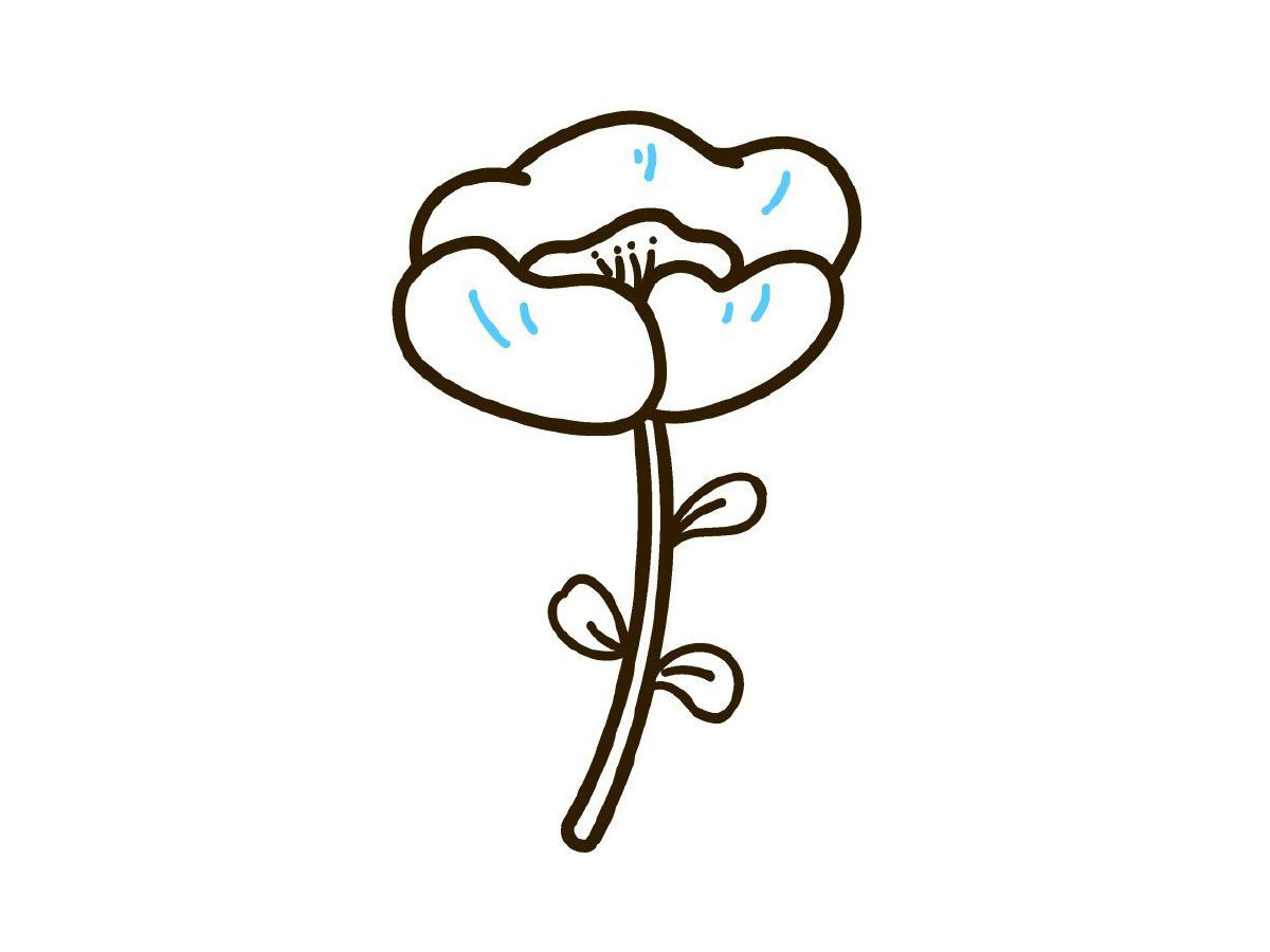 画一朵漂亮的小花