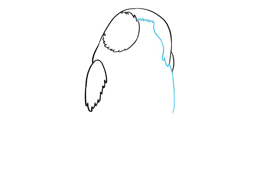 星球大战波格鸟简笔画步骤