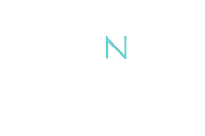 字母简笔画N小鹦鹉简笔画教程
