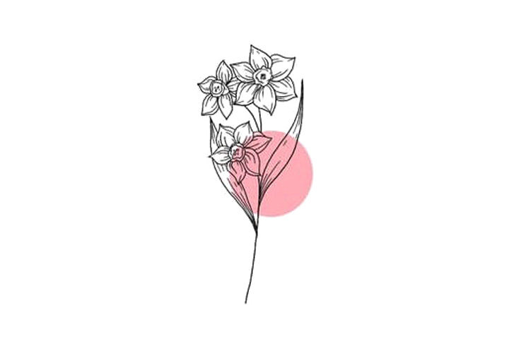 植物花草简笔画漂亮的小花简笔画图片