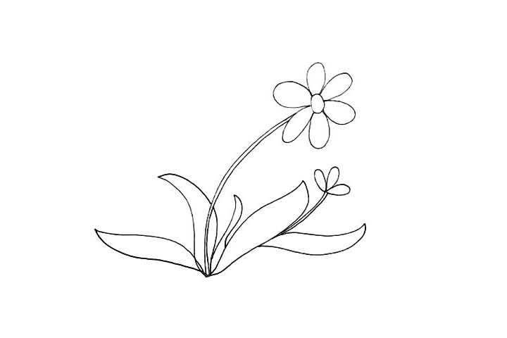 太阳花简笔画画法步骤