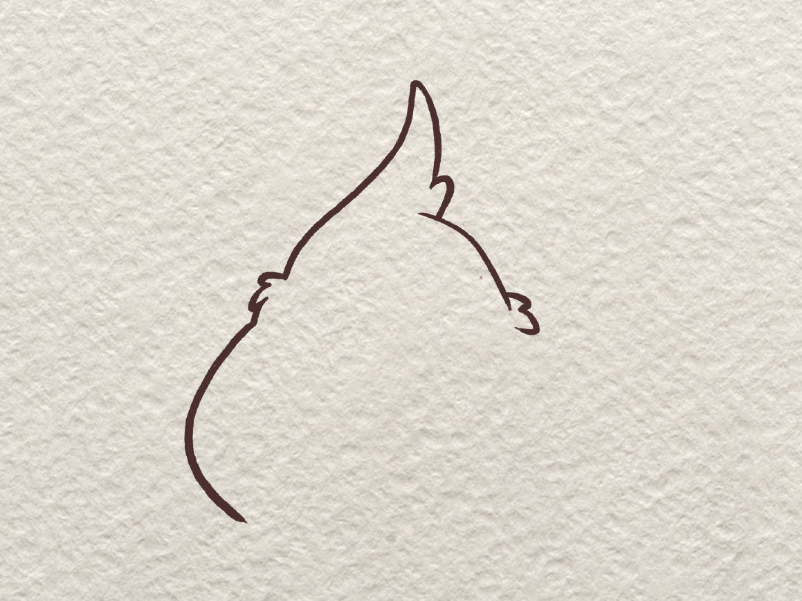 胖啾简笔画画法