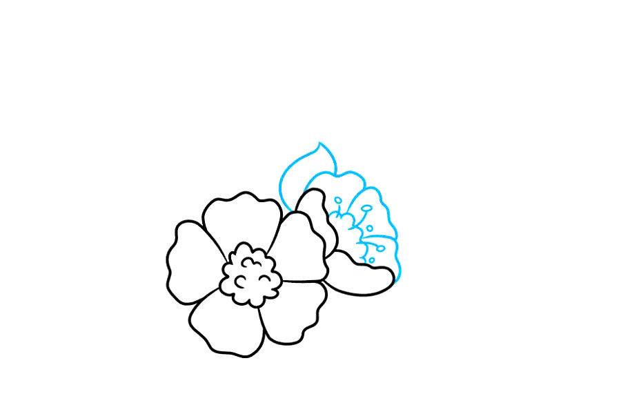 花丛简笔画画法步骤