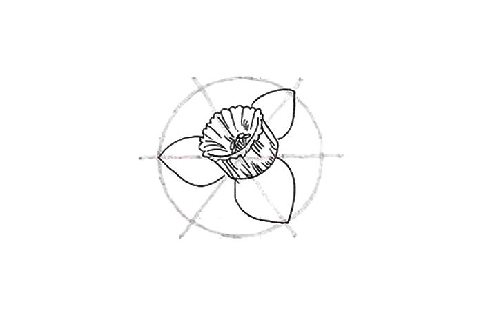 详细花朵绘画步骤 水仙花花朵简笔画画法