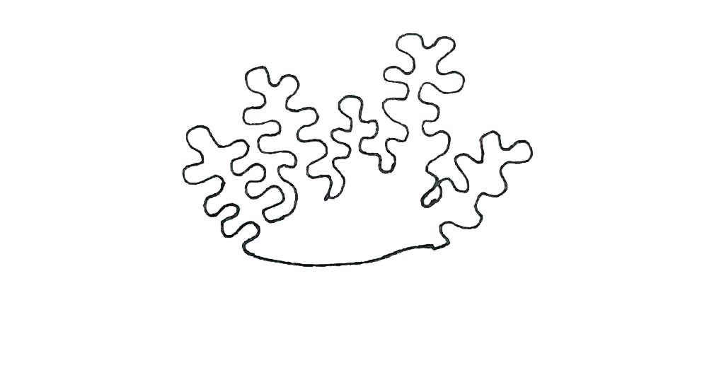 珊瑚简笔画教程
