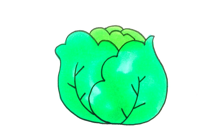 怎么画卷心菜