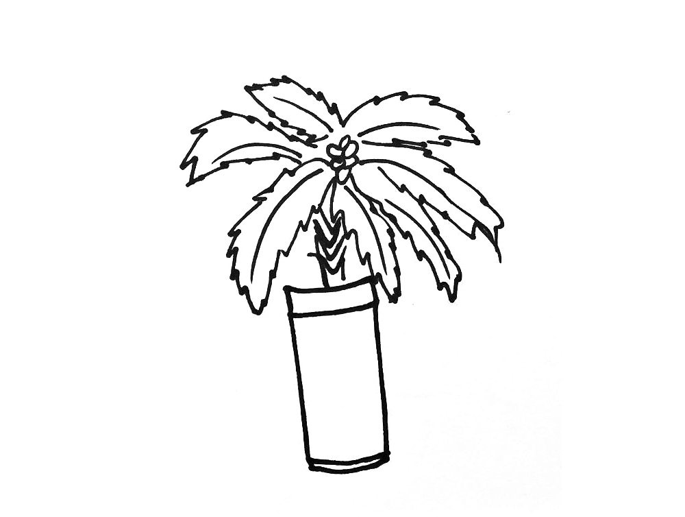 漂亮的盆栽植物简笔画