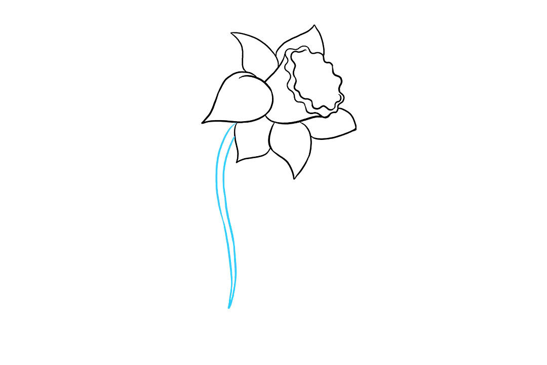 水仙花怎么画