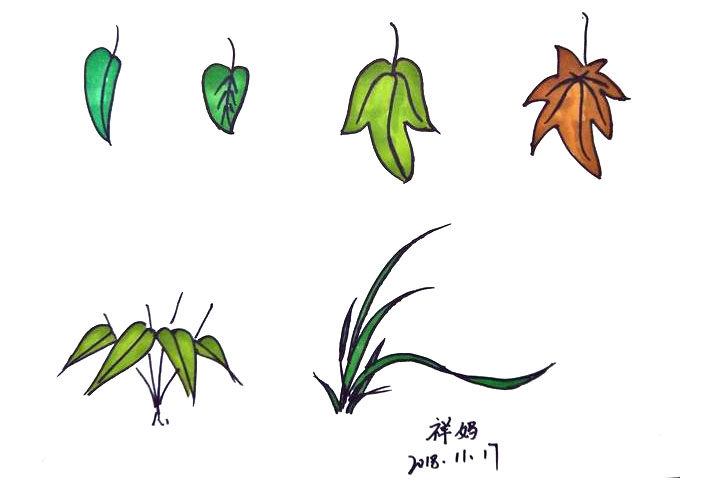 各种植物树叶简笔画图片