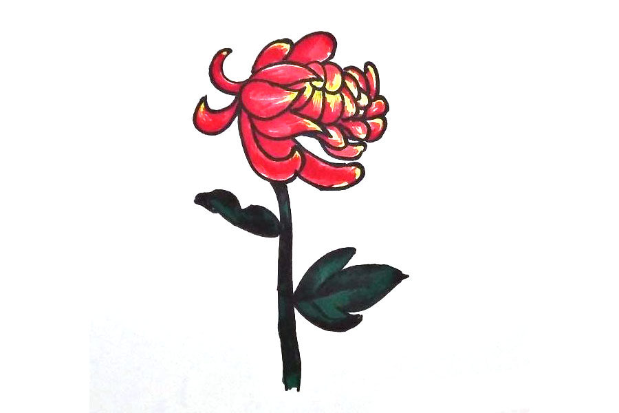 九月菊花简笔画画法