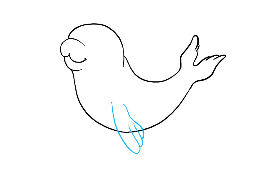 如何画海豹宝宝