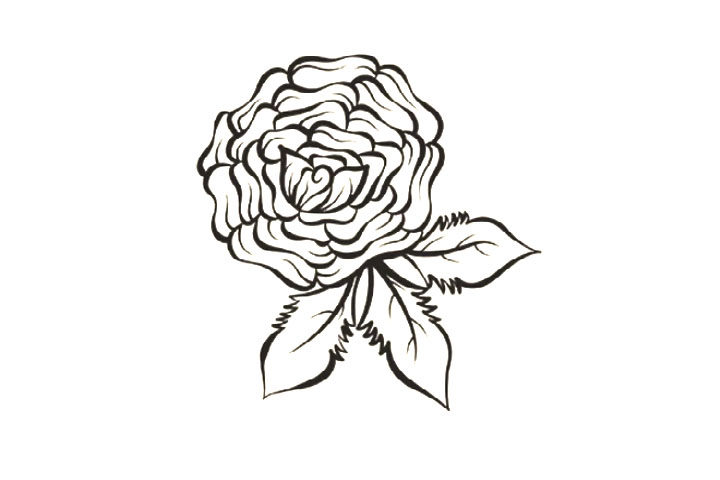 8种玫瑰花的画法