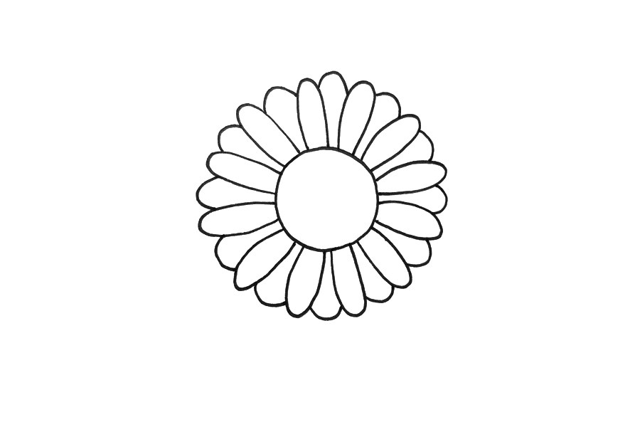 雏菊怎么画