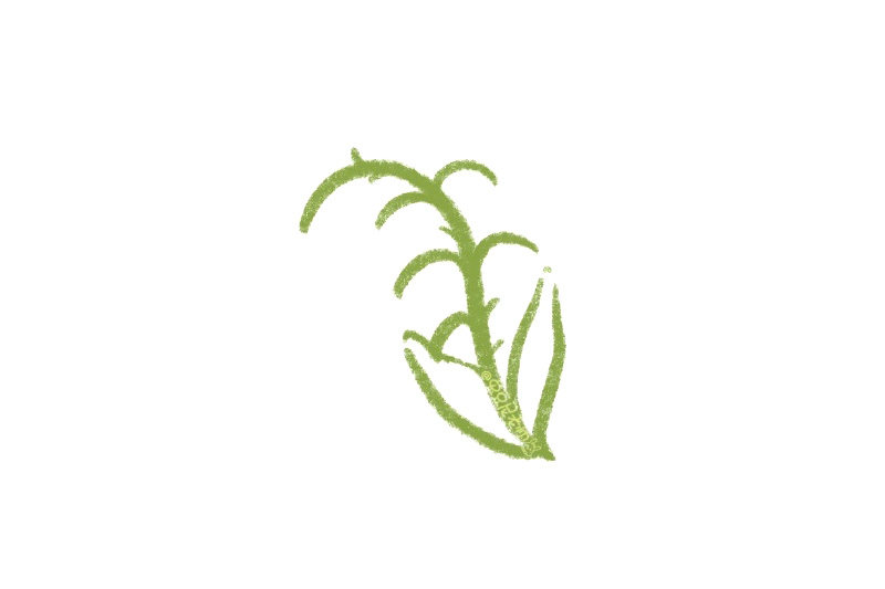 如何画漂亮的铃兰花
