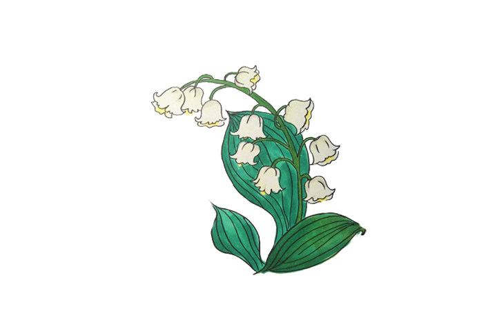 一组漂亮的花朵简笔画图片大全