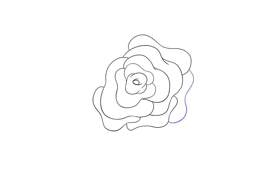 如何画玫瑰花简笔画