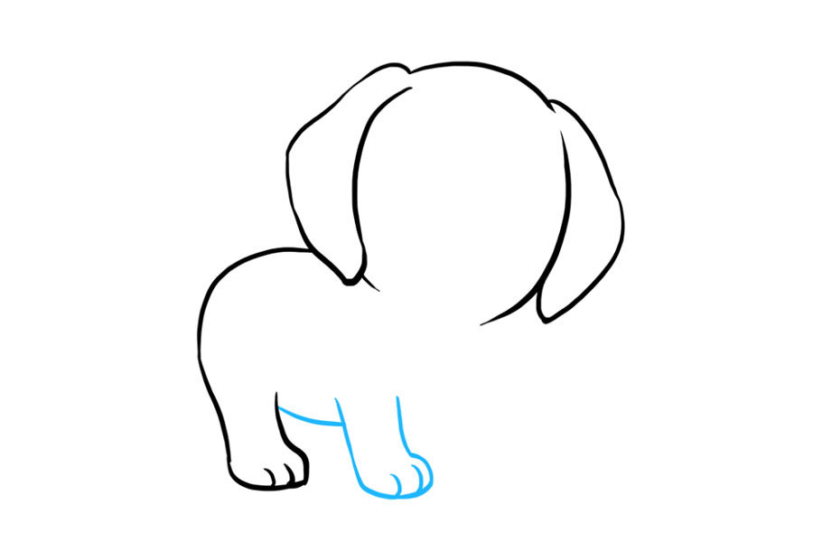 可爱的小斑点狗简笔画画法步骤