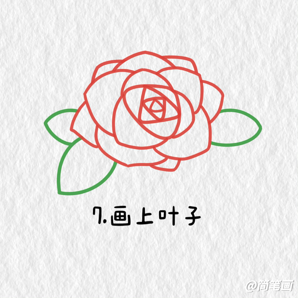 玫瑰花简笔画保姆级教程，画给你觉得最可爱的人